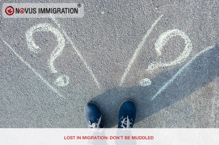 Lost in Migration: Don’t Be Muddled