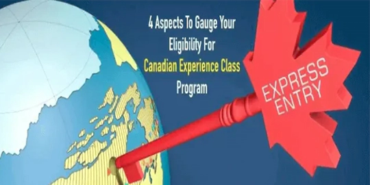 Canada Immigration Consultants