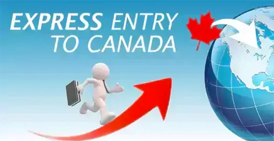 Canada Immigration Consultants